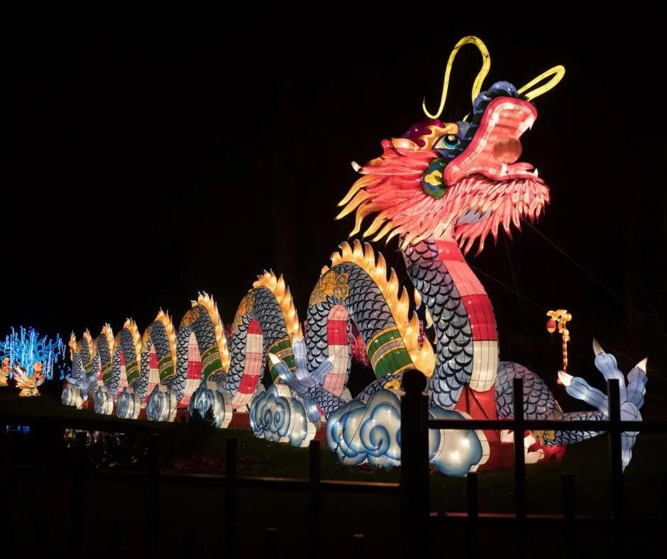 Chinese Lantern Festival - Chinese New Year Video