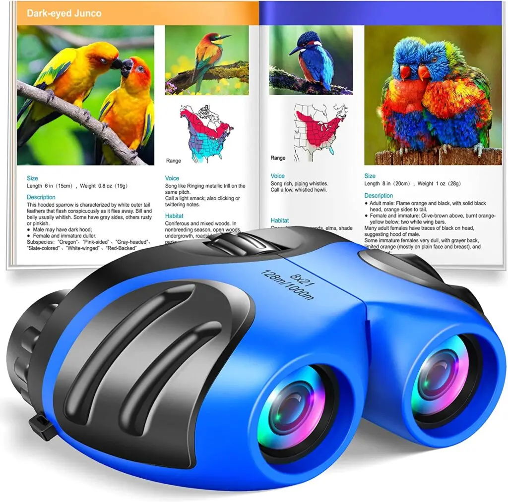 binoculars for kids - Road trip with kids