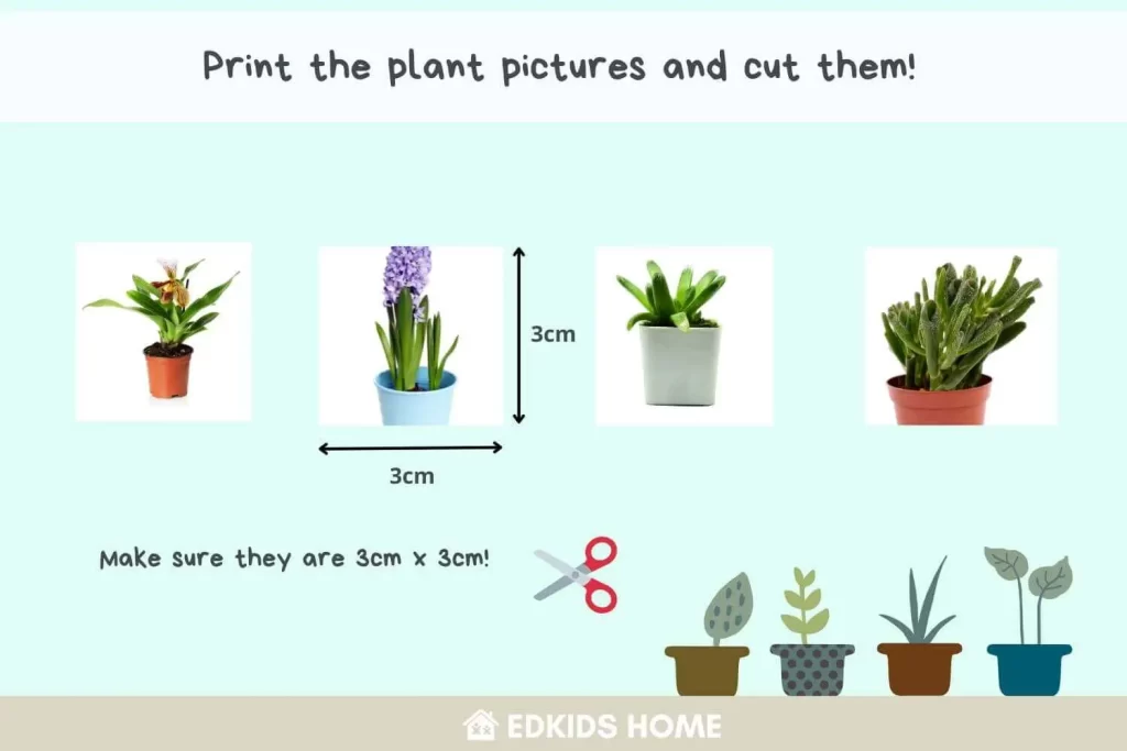 indoor house plant care checklist | print activities for kids