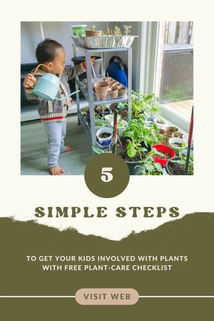 The Ultimate Indoor House Plant Care Checklist for Your Kids (It's Actually Free!)