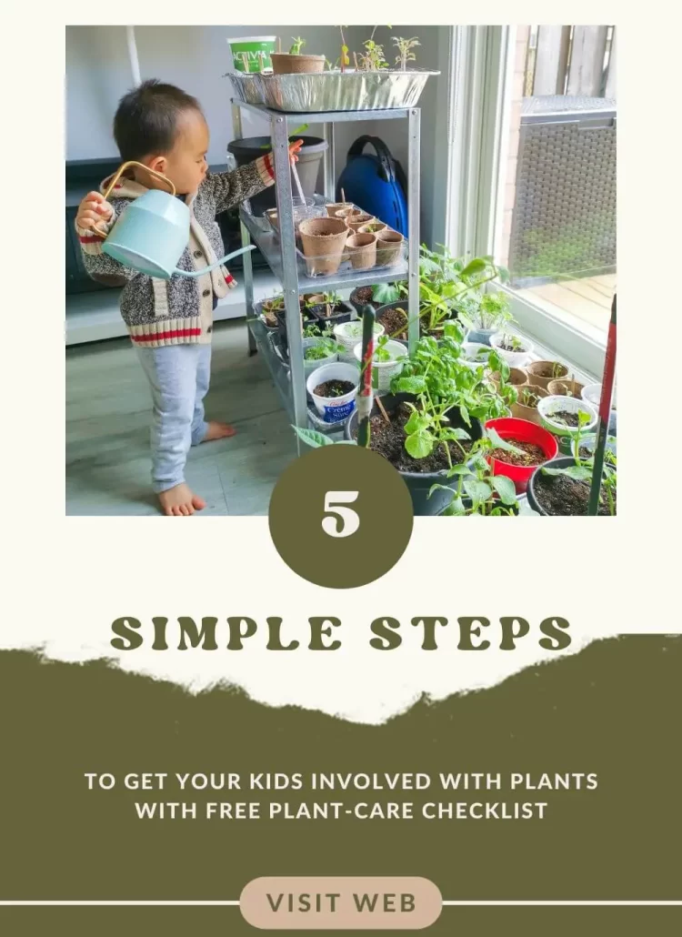 The Ultimate Indoor House Plant Care Checklist for Your Kids (It's Actually Free!)