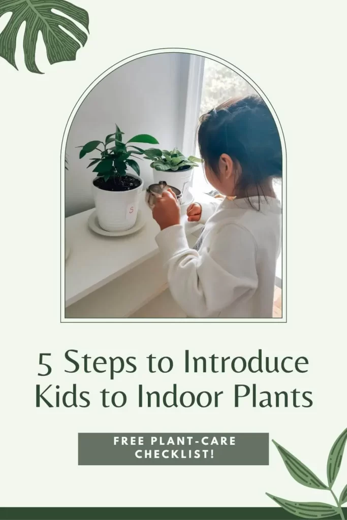 5 steps to introduce how to take care of house plants for kids