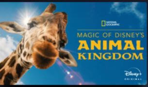 Disney world movies - Animal Kingdom