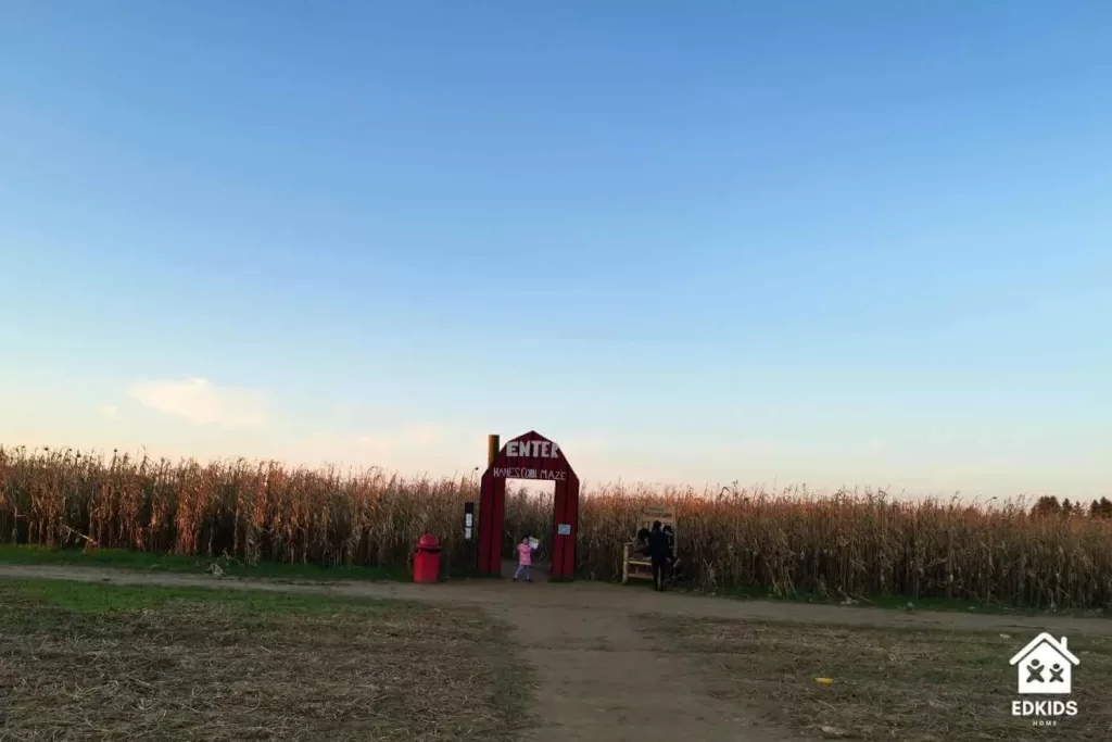 Autumn Bucket List - corn maze