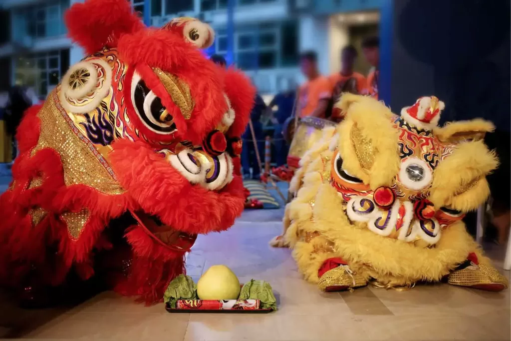38 Chinese New Year Vocabulary - Lion Dance